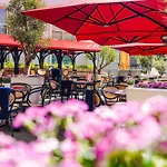 酒店 海牙希尔顿酒店 5*