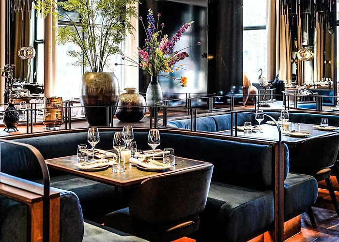 هيلتون ذا هيغ لاهاي